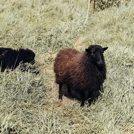 En Anjou 別荘 Cosse