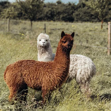 Σπίτι διακοπών En Anjou