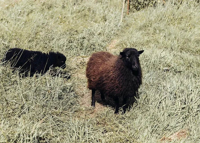 En Anjou 度假居 Cosse